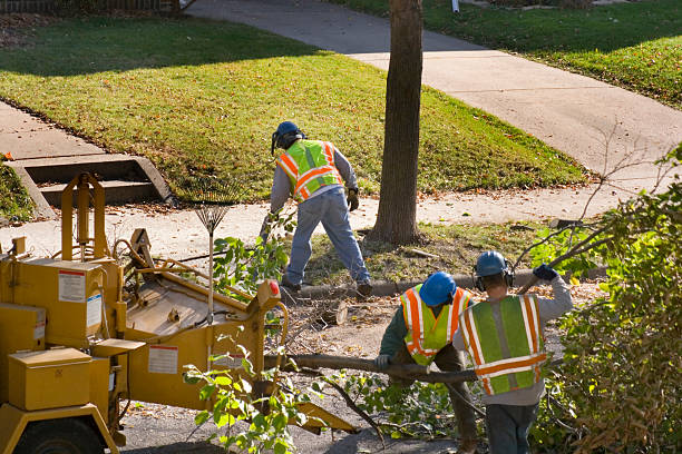 Best Grass Overseeding  in New Hackensack, NY